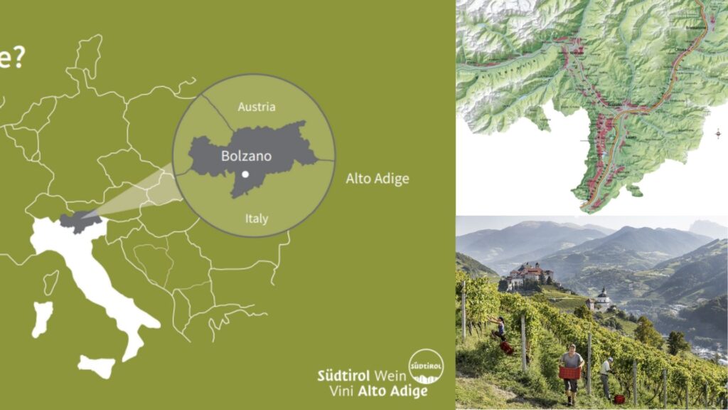Carte viticole Alto Adige