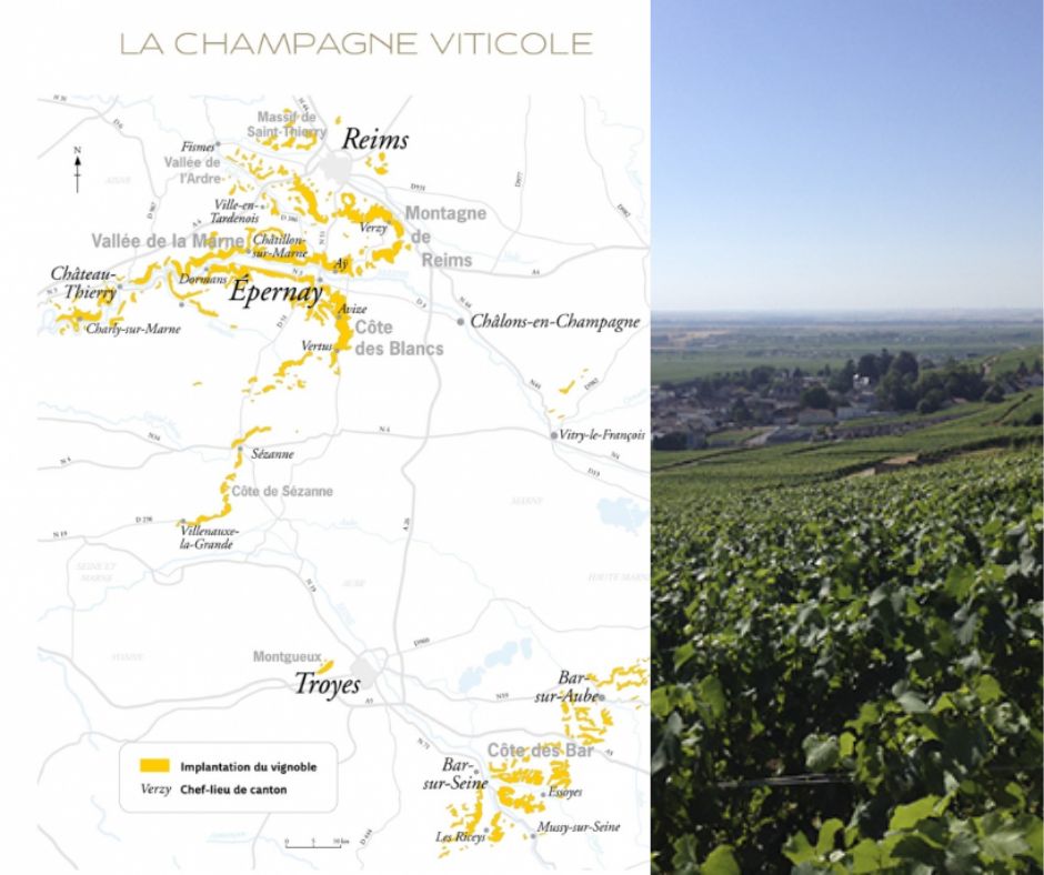 Carte viticole Champagne