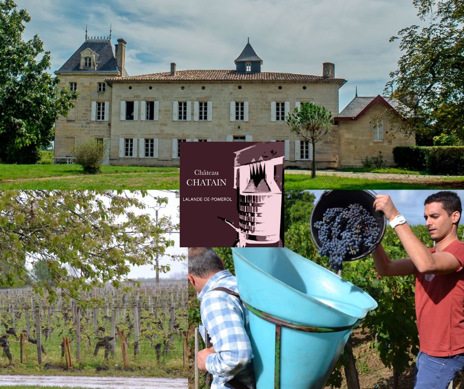 Château Chatain: château, chai, vignobles et vendanges.