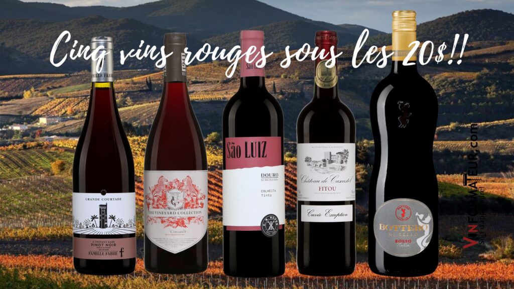 Cinq vins rouges sous la barre des 20$ pour les Fêtes!