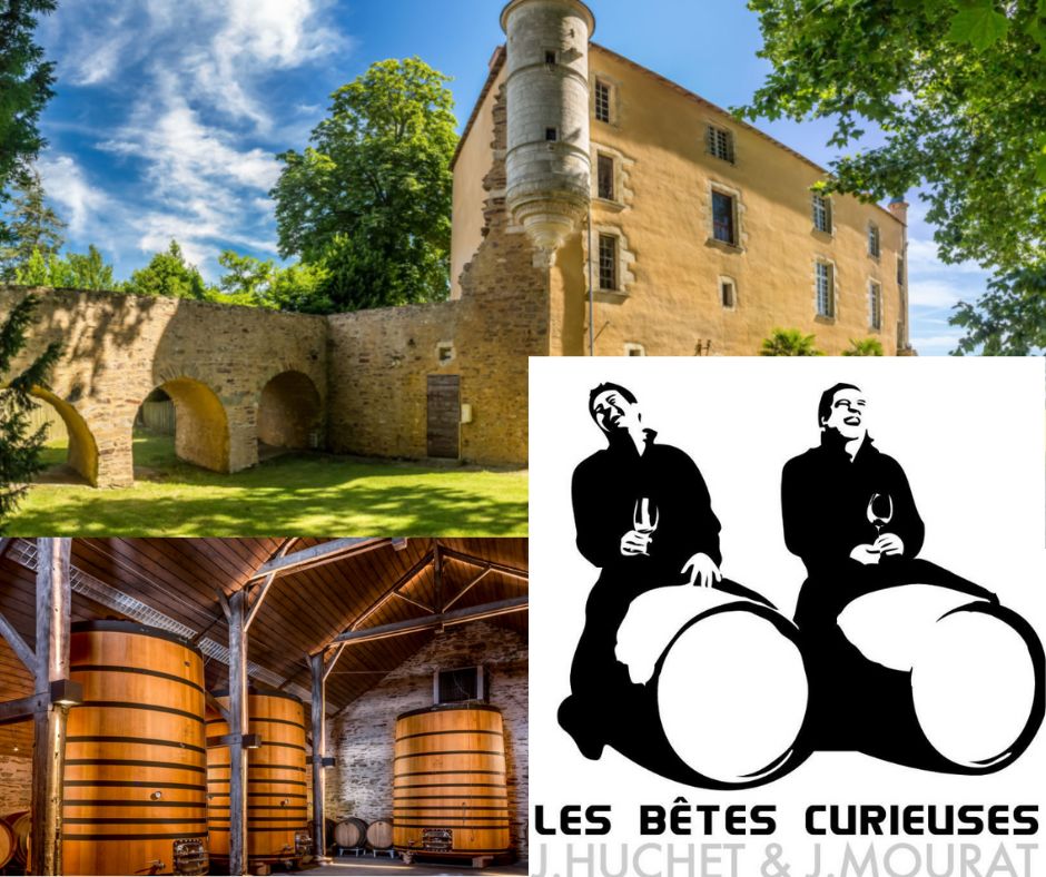 Vignoble Mourat: château, chai