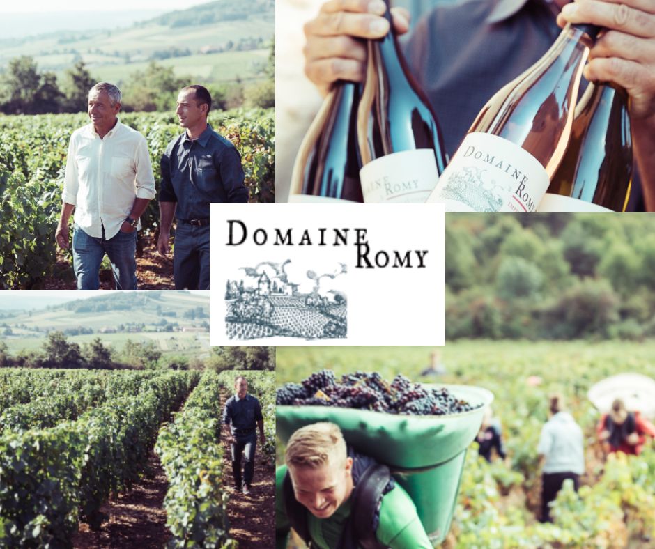 Domaine Romy: Dominique et Nicolas, vignobles et bouteilles