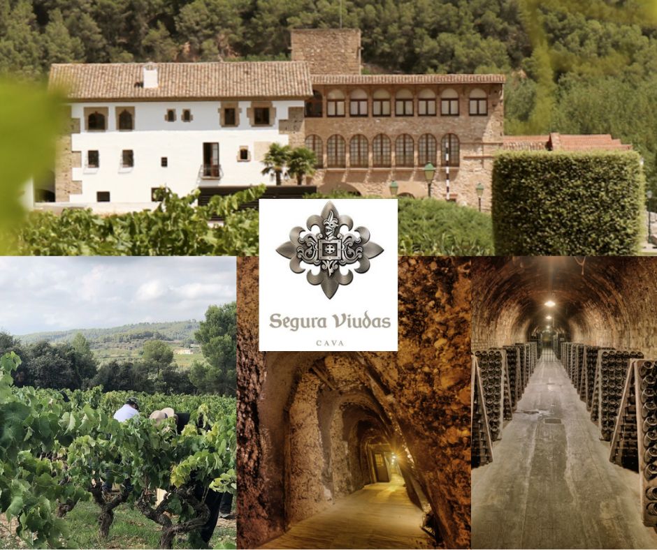 Segura Viudas: chai et vignobles