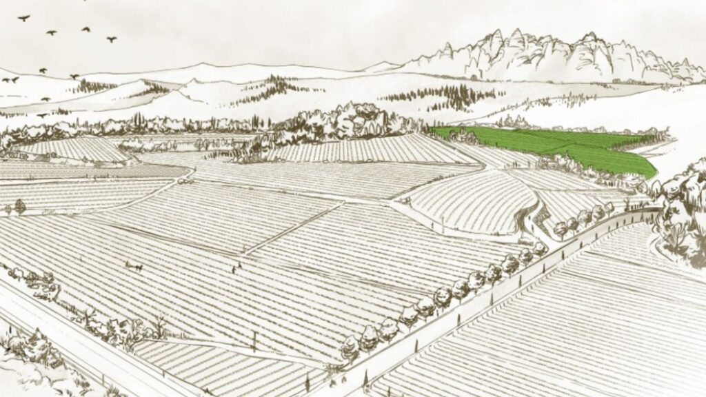 Terroir De Nit Conca del Riu Anoia