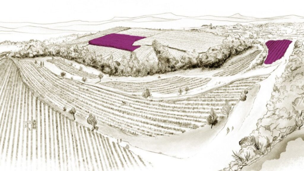 Terroir De la Finca Conca del Riu Anoia