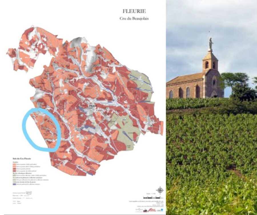 Carte viticole Beaujolais, cru Fleurie