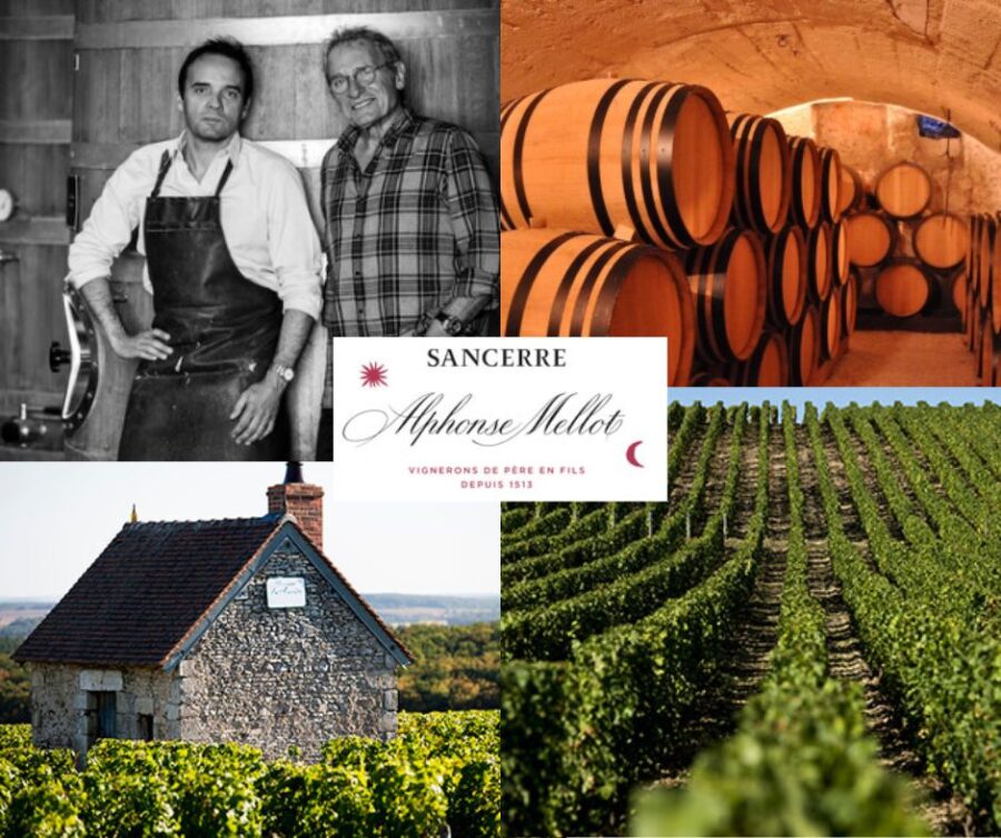 Domaine Alphonse Mellot: Alphonse Mellot Junior et Senior, chai et vignobles