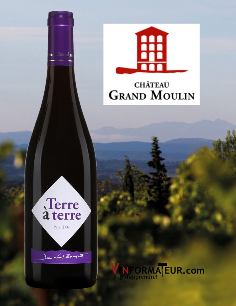Terre à terre, France, Languedoc-Roussillon, Pays d’Oc, 2020 bouteille