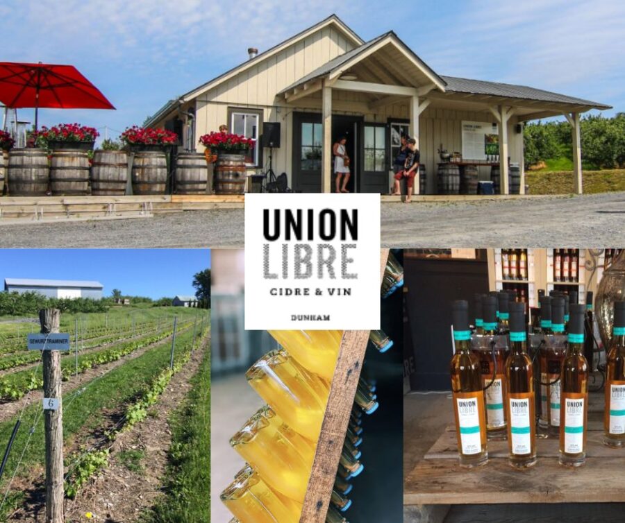 Union Libre - chai, vignobles et bouteilles