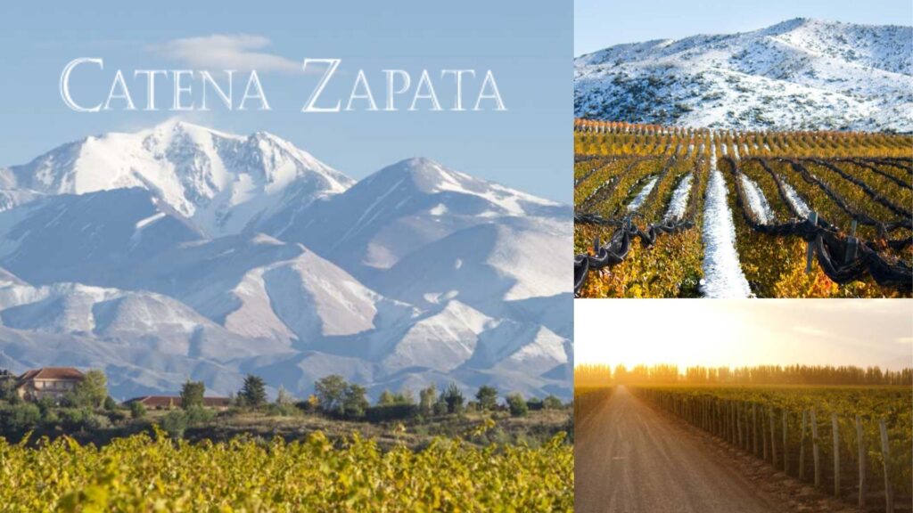 Vignobles Bodega Catena Zapata - en altitude