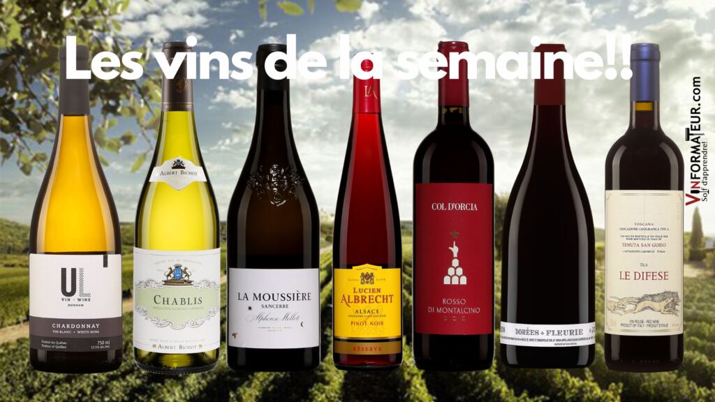 Les vins de la semaine!