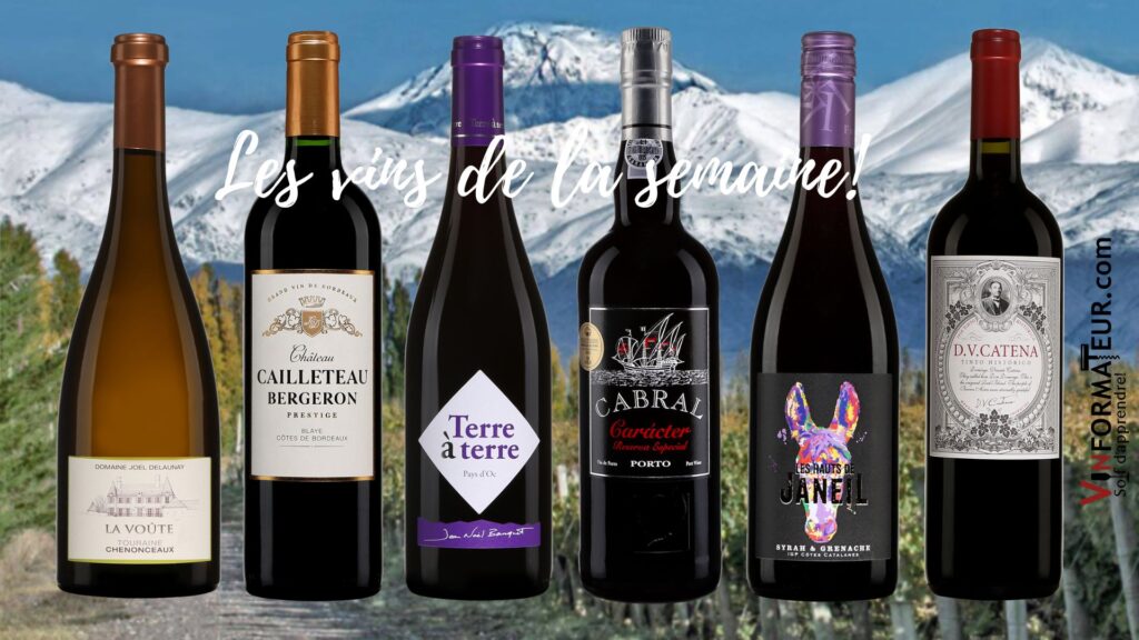 Vins de la semaine: Voute Chenonceaux J Delaunay, Cuvée Prestique Chateau Cailleteau Bergeron, Terre à terre, Les Hauts de Janeil, DV Catena Tinto Historico, Cabral Caracter. bouteilles