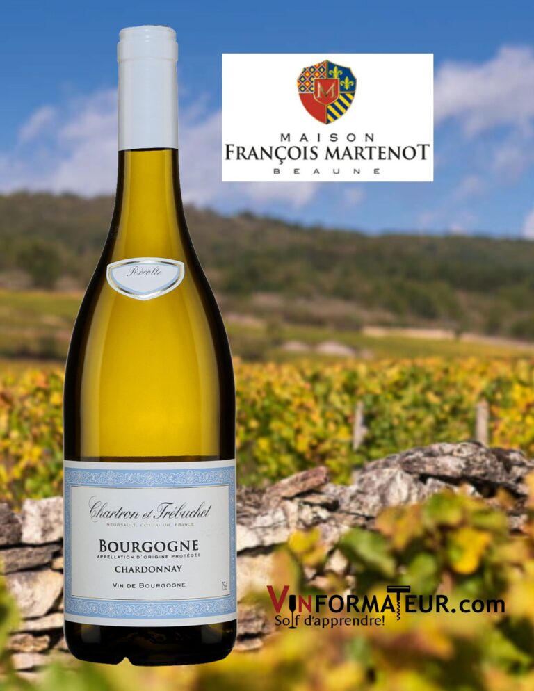 Chardonnay, Bourgogne, Chartron & Trébuchet, vin blanc, 2020 bouteille