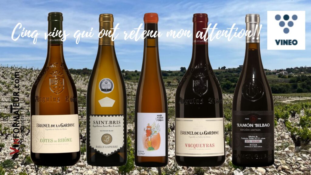Dégustation agence Vineo: Brunel de la Gardine blanc et rouge (Vacqueyras), Le Génie Orange, Bailly-Lapierre Saint Bris, Ramon Bilbao Crianza. bouteilles
