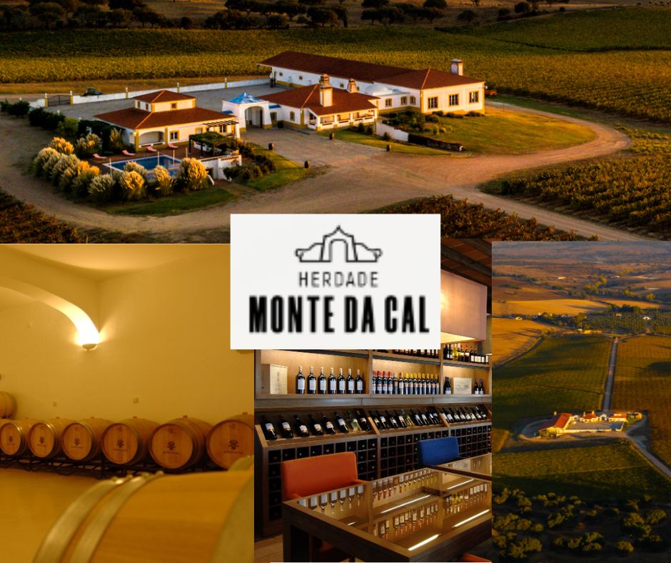 Herdade Monte da Cal: chai, vignobles et salle de dégustation.