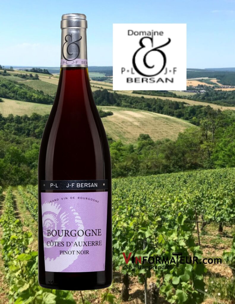 Pinot Noir, Côtes d’Auxerre, Bourgogne, P-L & J-F Bersan, vin rouge, 2019 bouteille