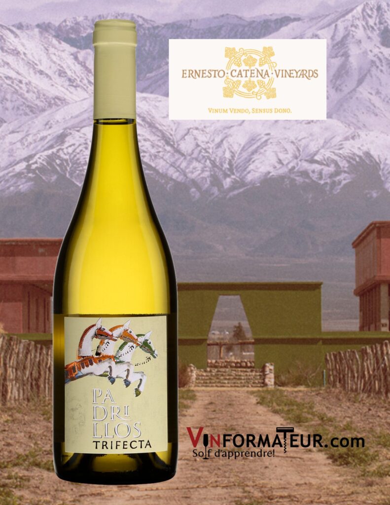 Padrillos, Trifecta, Argentine, Mendoza, vin blanc, 2021 bouteille