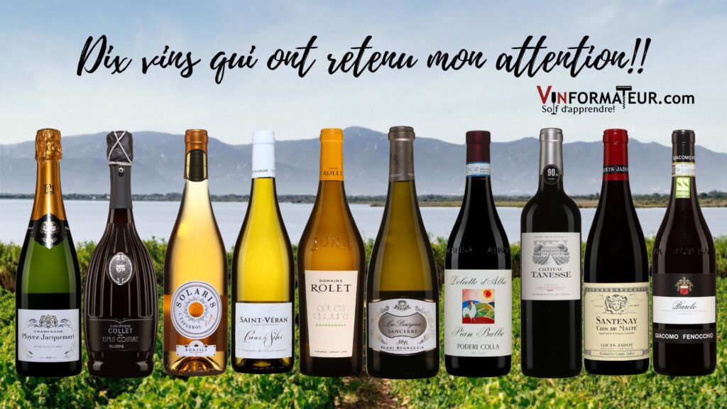 Champagne Ployez-Jacquemart, Champagne Collet, Château l'Esparrou, Coeur de Silex, Domaine Rolet, Henri Bourgeois Sancerre, Pian Balbo Poderi Colla, Château Tanesse, Louis Jadot, Giacomo Fenocchio. bouteilles