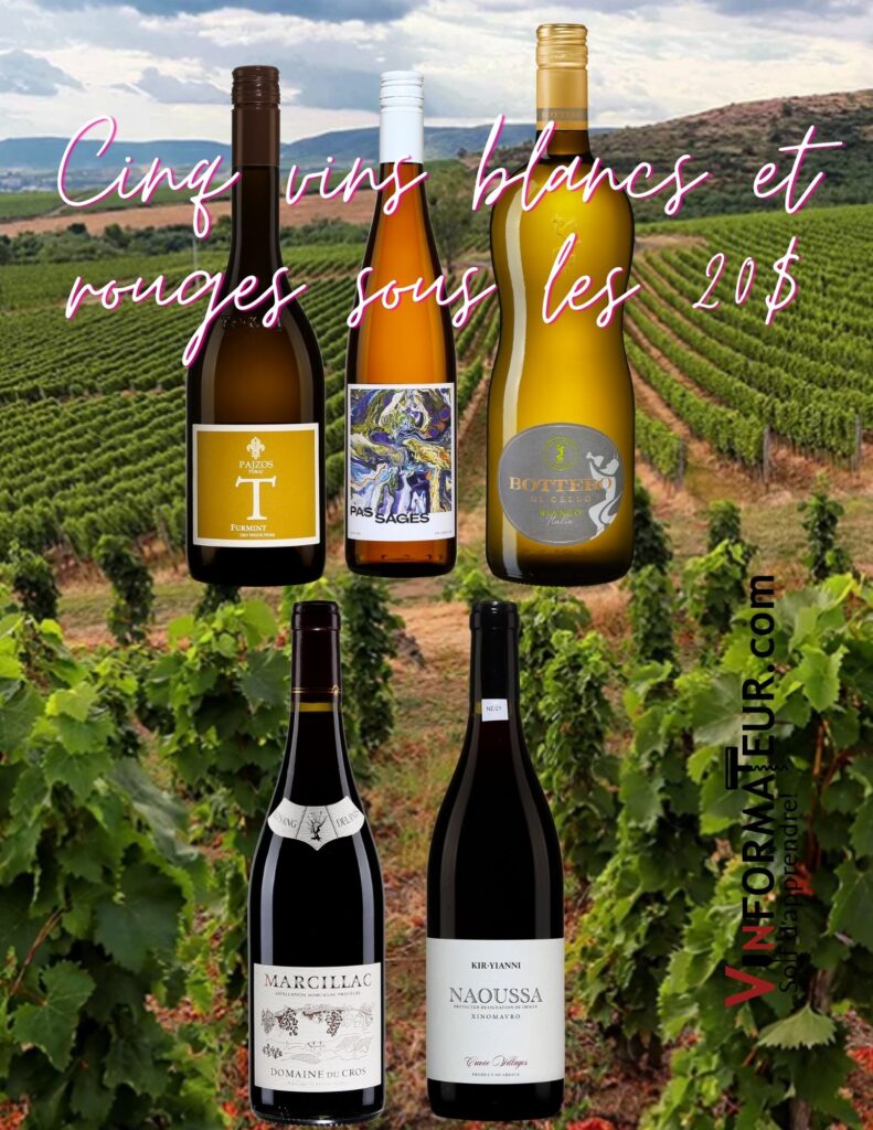 Cinq vins blancs et rouges: Bottero di Cello Bianco, Pajzos, Tokaji, T, Furmint, Pas Sages, Riesling, Naoussa, Xinomavro Kir Yianni, Domaine du Cros Marcillac. bouteilles
