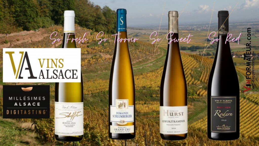 Ces vins d’Alsace qui m’envoûtent !!