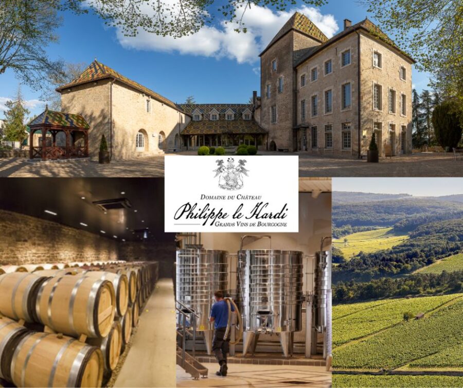 Château Philippe le Hardi: château, chai et vignobles