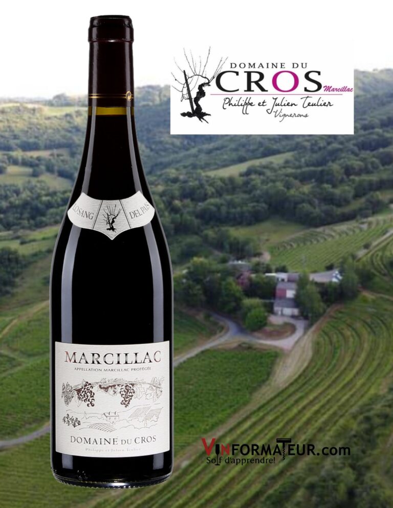 Domaine du Cros, Lo Sang del Pais, France, Sud Ouest, Marcillac, 2020 bouteille