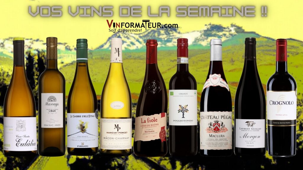 Voici vos vins rouges et blancs de la semaine!