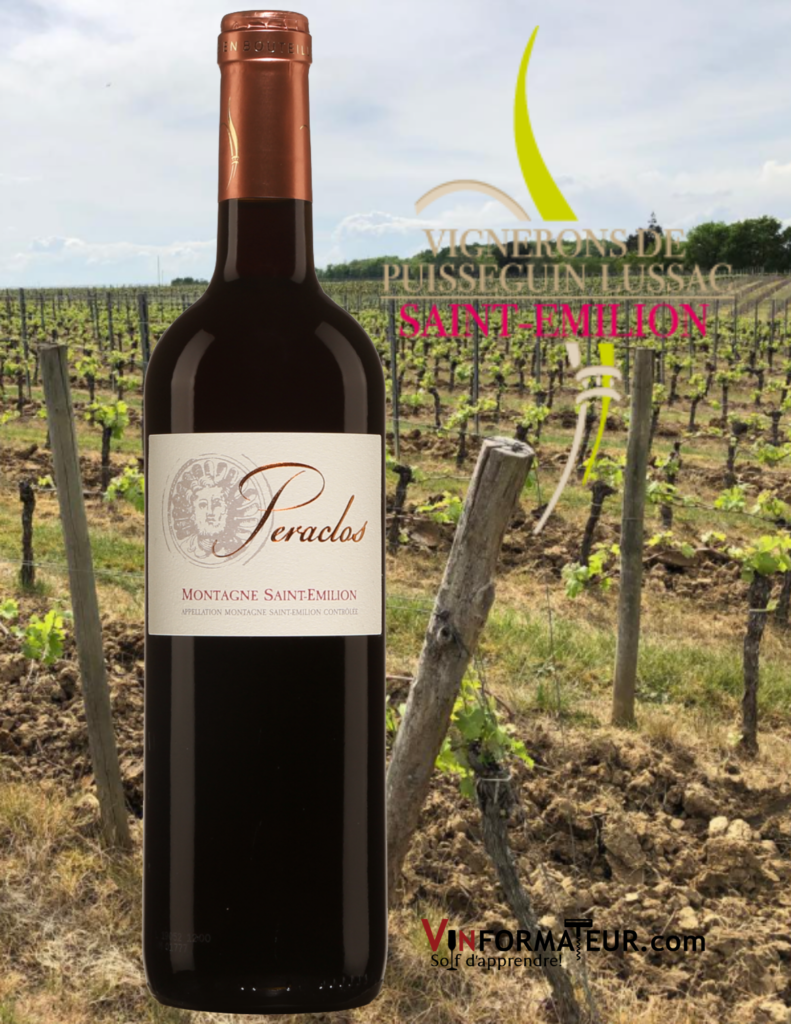 Peraclos, Montagne Saint-Émilion, Bordeaux, vin rouge, 2019 bouteille