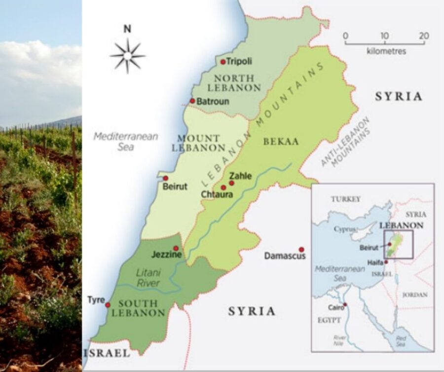 Carte viticole Liban