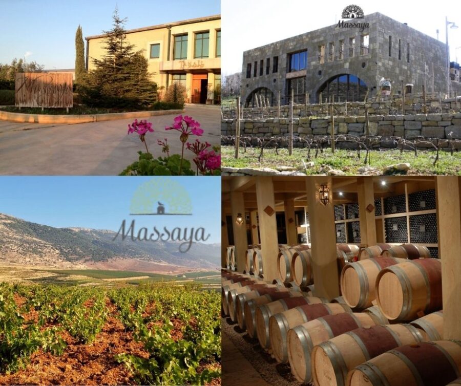 Massaya: chai et vignobles