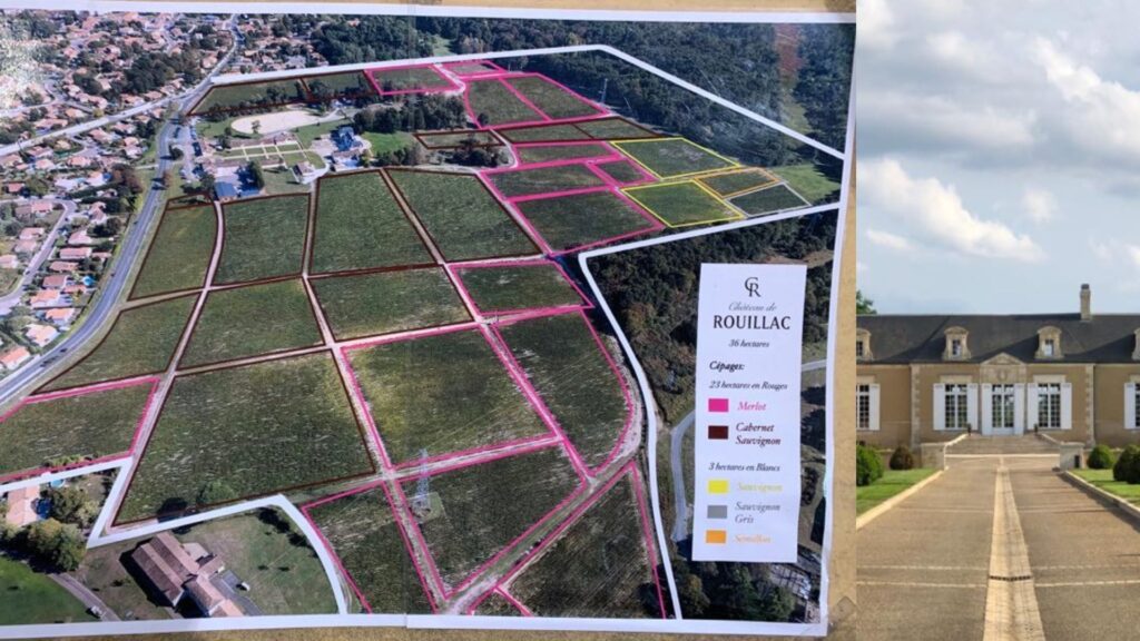 Vignobles Château de Rouillac