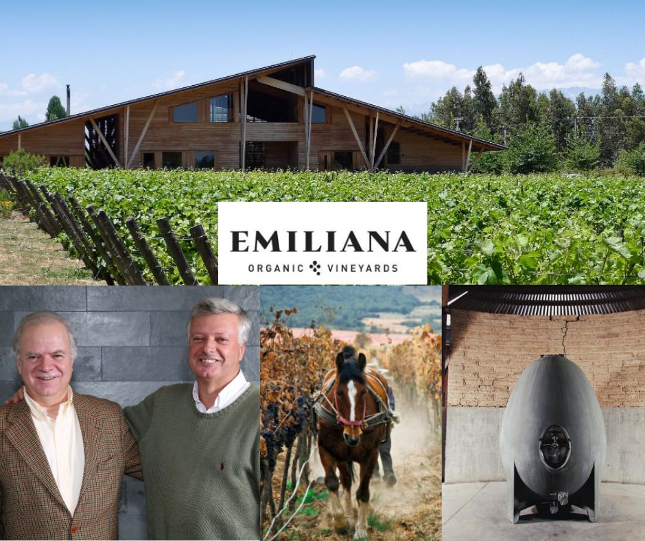 Emiliana Organic Vineyards: Rafael et José Guilisasti, chai et vignobles