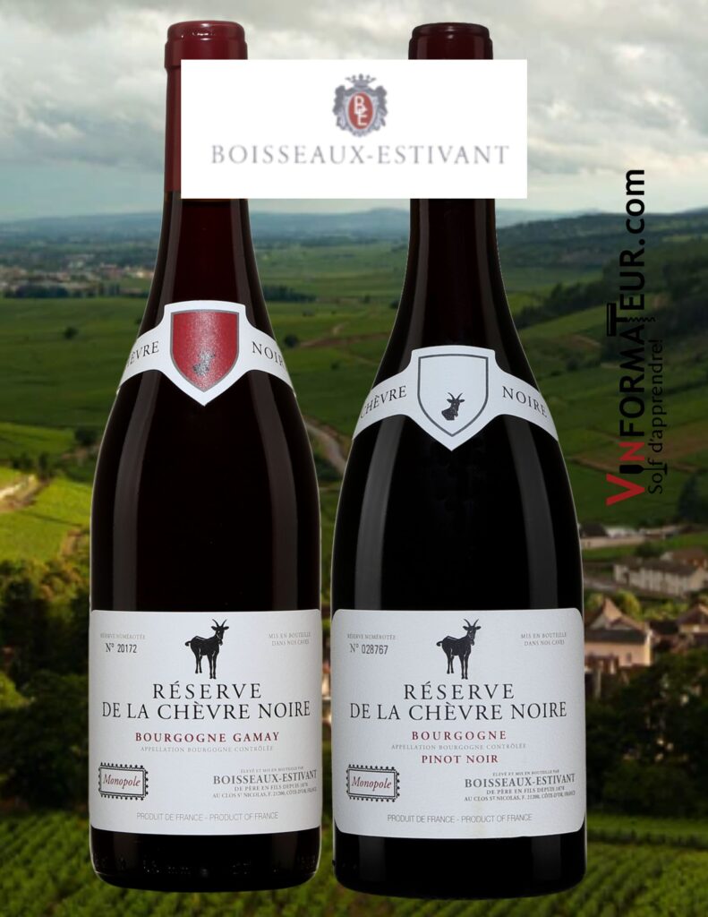Réserve de la Chèvre Noire: Bourgogne Gamay AOC 2021, Bourgogne, Pinot Noir 2021. Fraîcheur et sapidité garanties! bouteilles