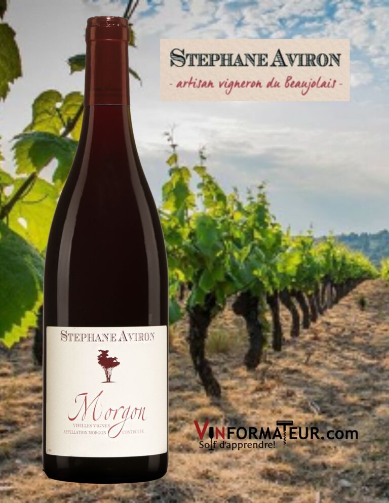 Stéphane Aviron, Morgon, Beaujolais, 2021 bouteille