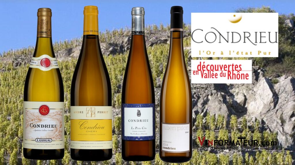 Les vins de Condrieu: E. Guigal, André Perret Chéry, Yves Cuilleron La Petite Côte, Julien Pilon Lône, des vins riches et capiteux! bouteilles