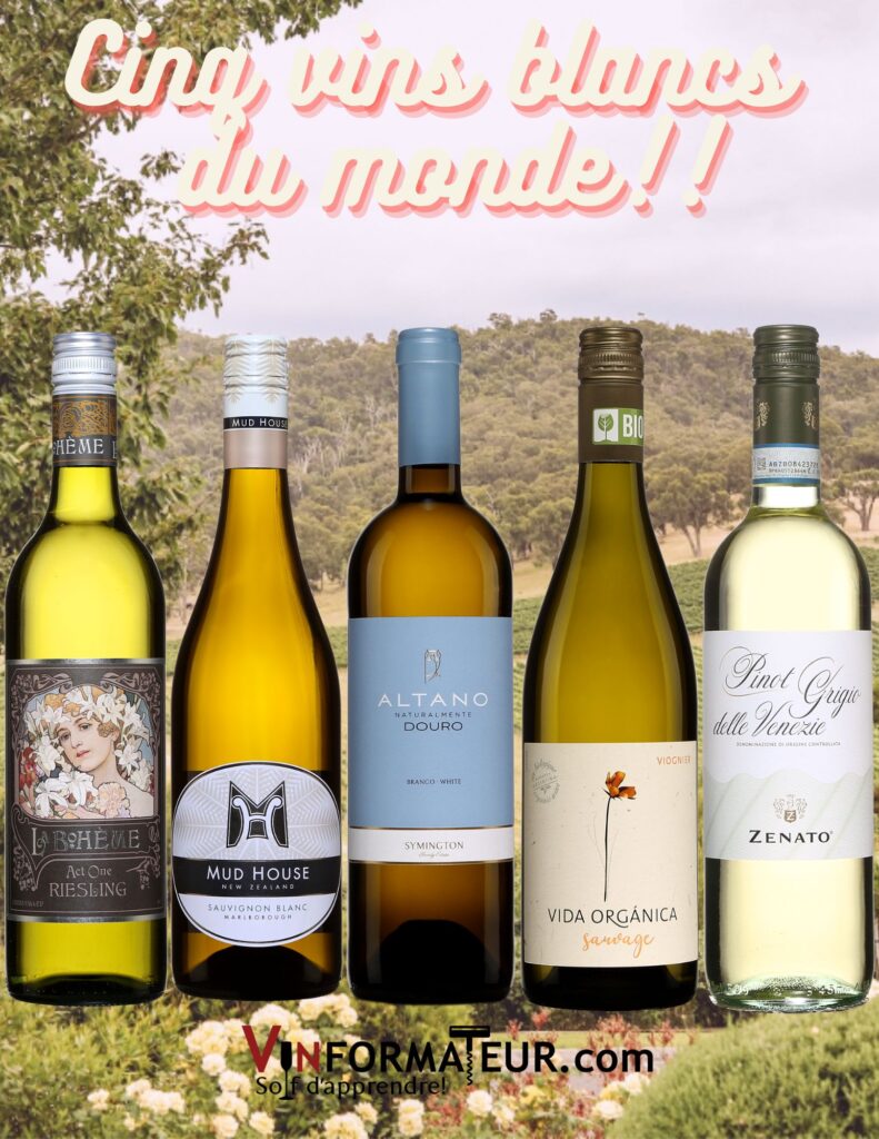 Vins blancs du monde: Zenato, Pinot Grigio delle Venezie, Altano, Branco, Vida Organica, Sauvage, Viognier, La Bohème, Act One, Riesling, Mud House, Sauvignon blanc.