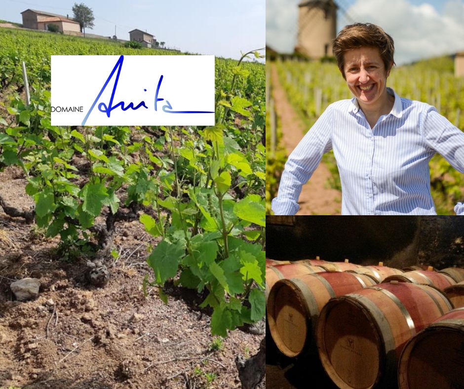 Domaine Anita: Anita Kuhnel, vignobles et chai