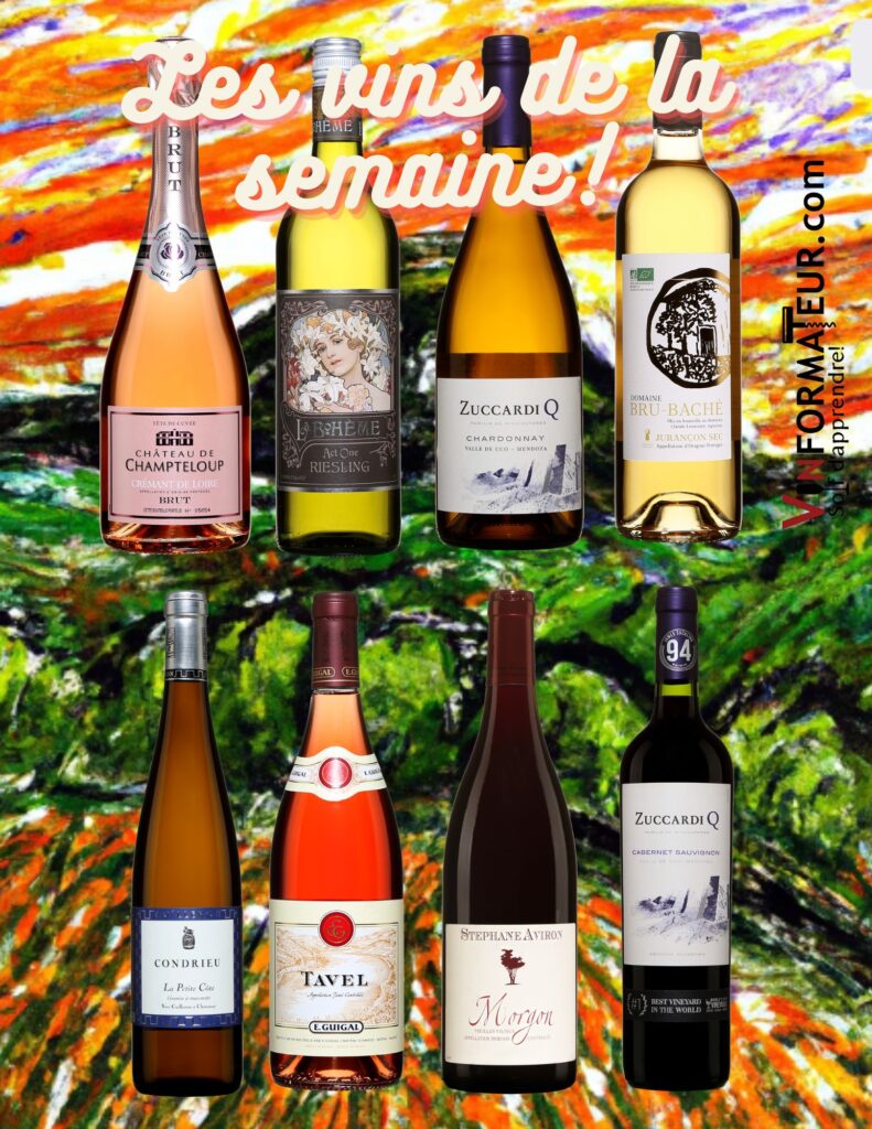 Château de Champteloup, La Bohème, Act One, Riesling, Zuccardi Q, Chardonnay, Domaine Bru-Baché, Jurançon sec, Yves Cuilleron, La Petite Côte, Condrieu, E. Guigal, Stéphane Aviron, Morgon, Zuccardi Q, Cabernet-Sauvignon bouteilles