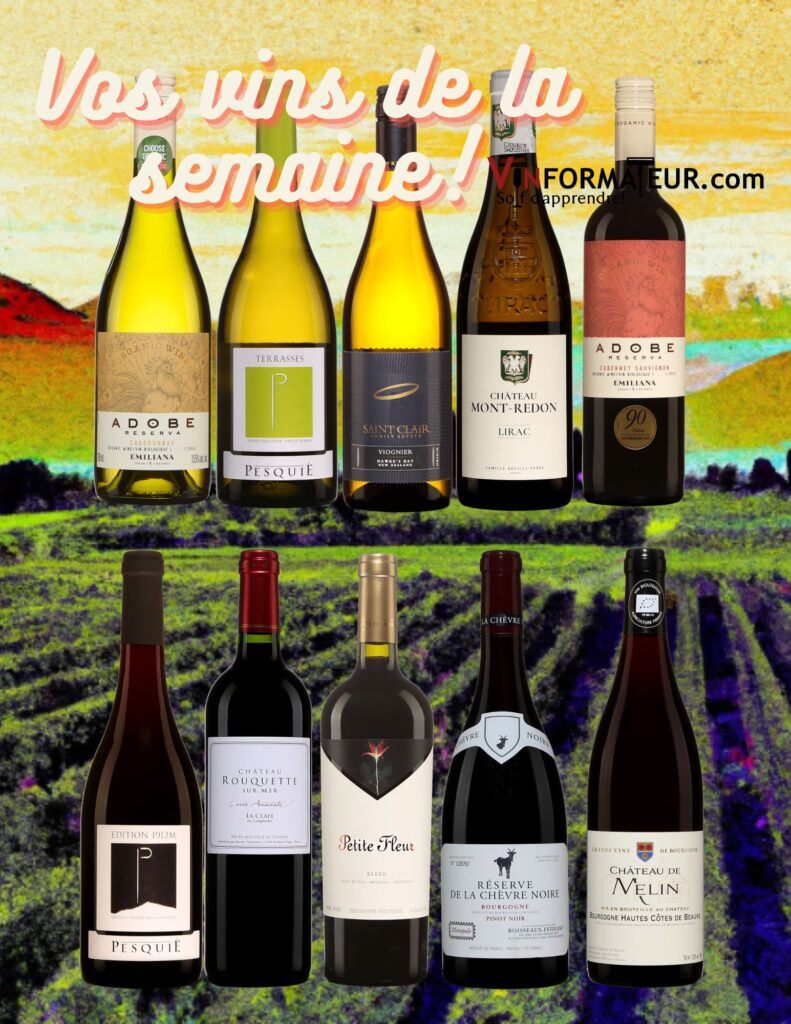 Vos vins de la semaine dont 4 vins blancs et 6 vins rouges dont 5 sont bios. Faites de belles découvertes parmi ces vins! bouteilles de vin