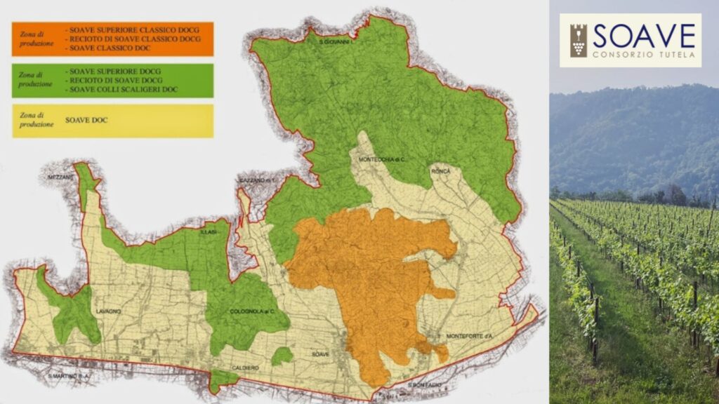 Carte viticole Soave