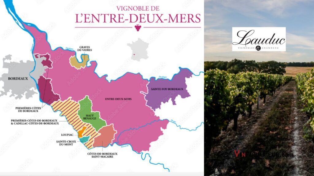 Carte viticole Entre Deux Mers