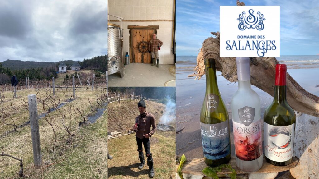 Domaine des Salanges: André et Laurent Olivier Brossard, vins et vignobles