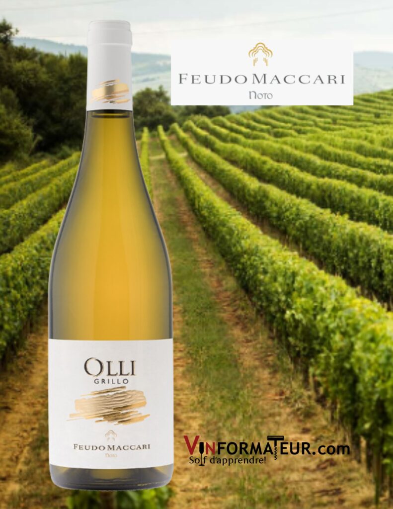 Feudo Maccari, Grillo, Grillo Sicilia DOC, vin blanc, 2022 bouteille
