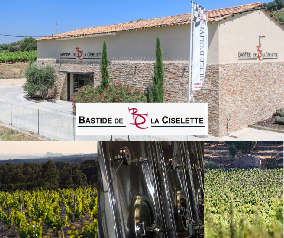 Bastide de la Ciselette: chai et vignobles