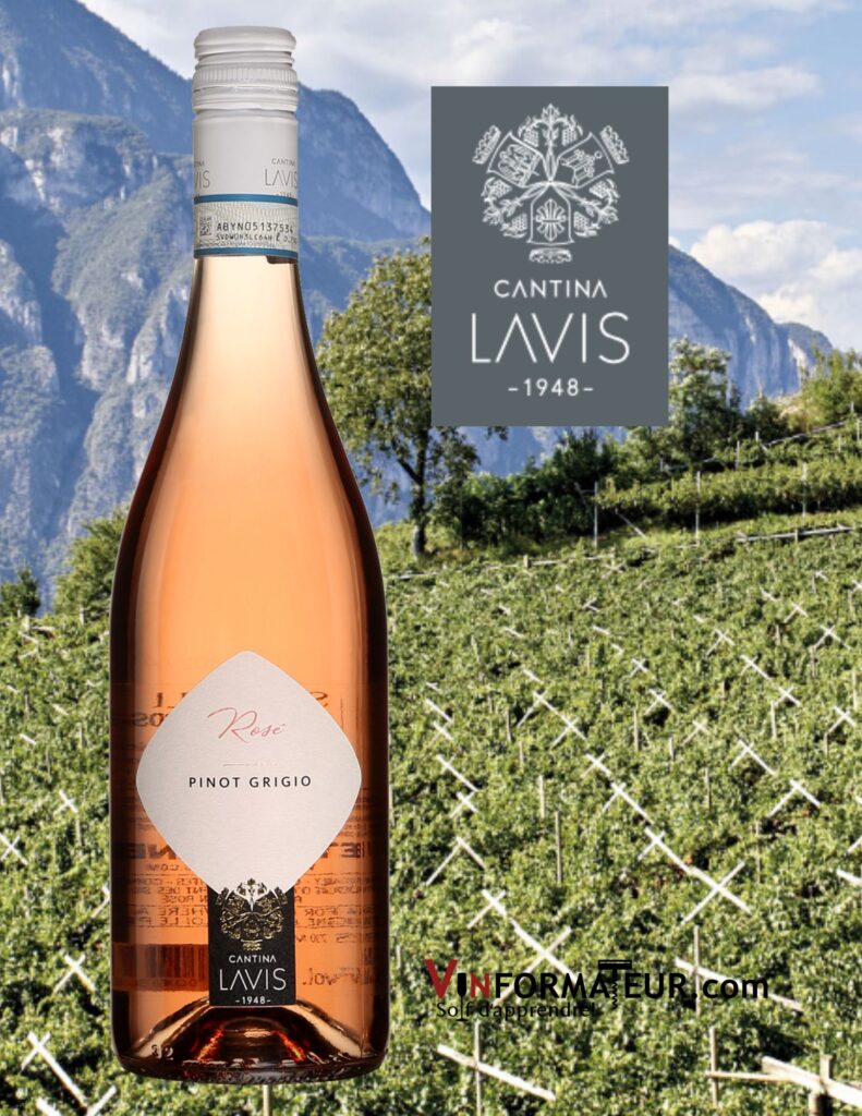 Pinot Grigio, Delle Venezie, Cantina Lavis, vin rosé, 2021 bouteille