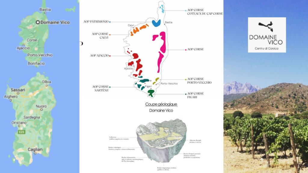 Carte viticole et géologique de Corse