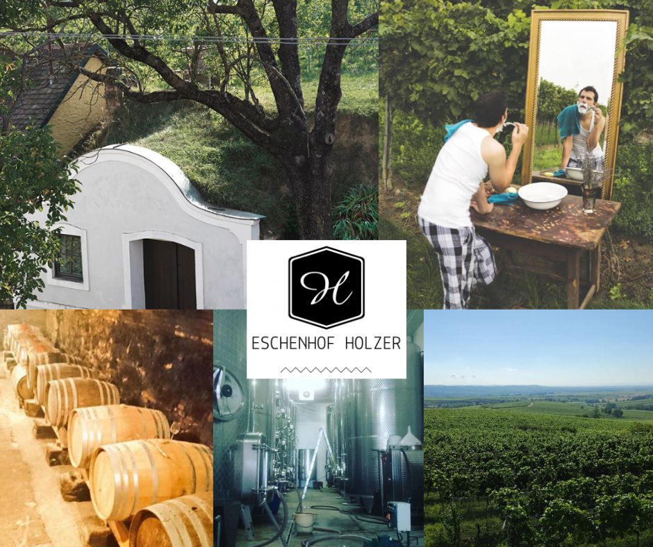 Eschenhof Holzer: Arnold Holzer, chai et vignobles