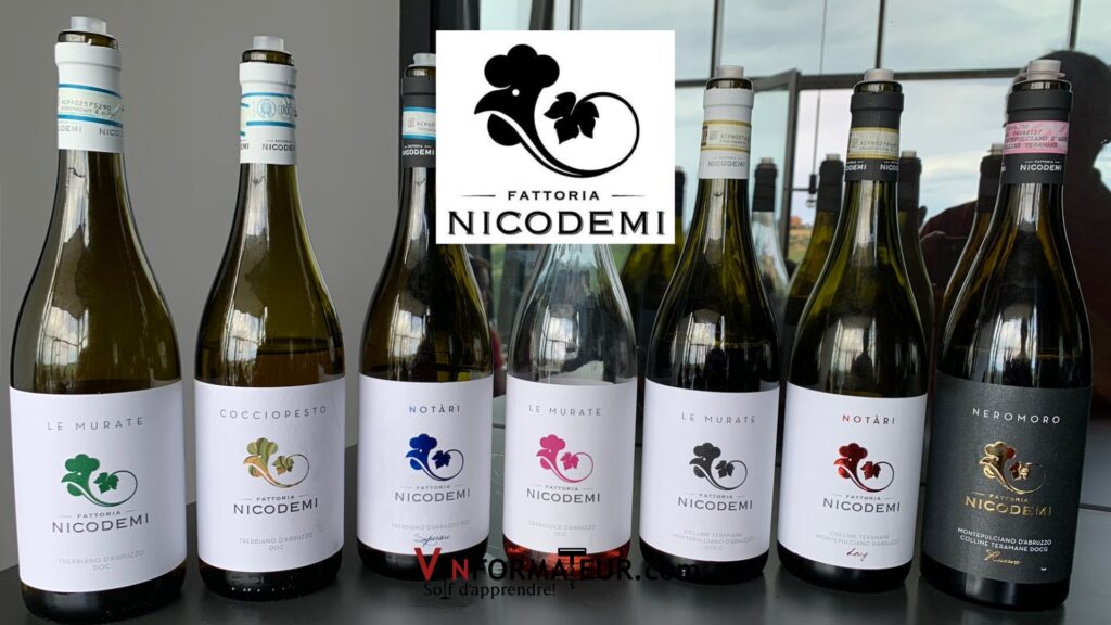 Dégustation vins Nicodemi