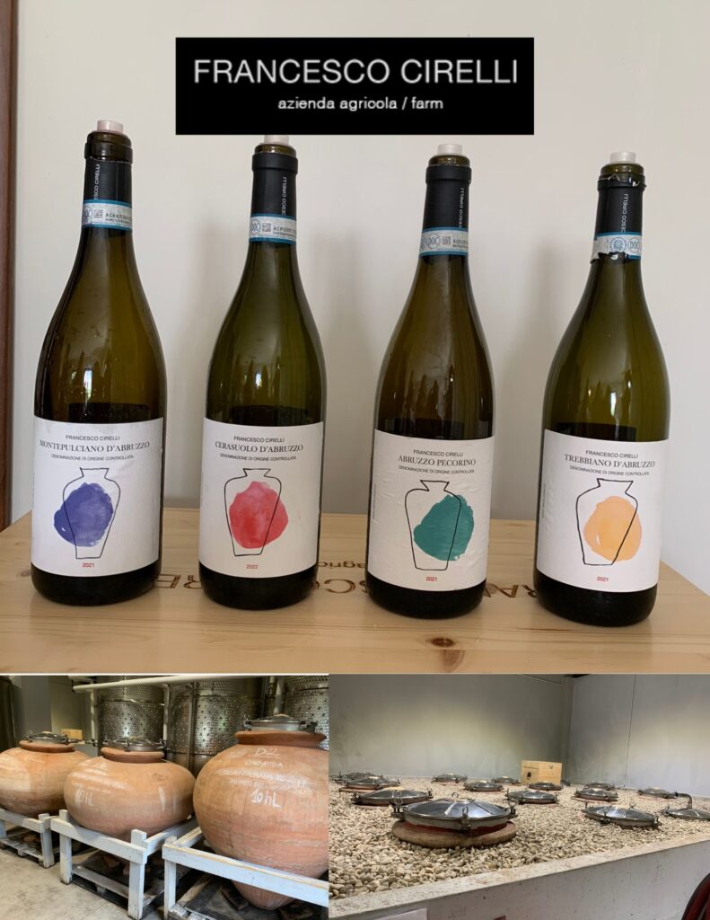 Vins dégustés Francesco Cirelli et amphores