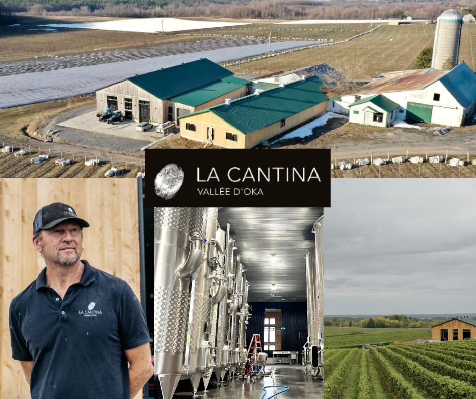 Vignoble La Cantina: Daniel Lalande, chai et vignobles